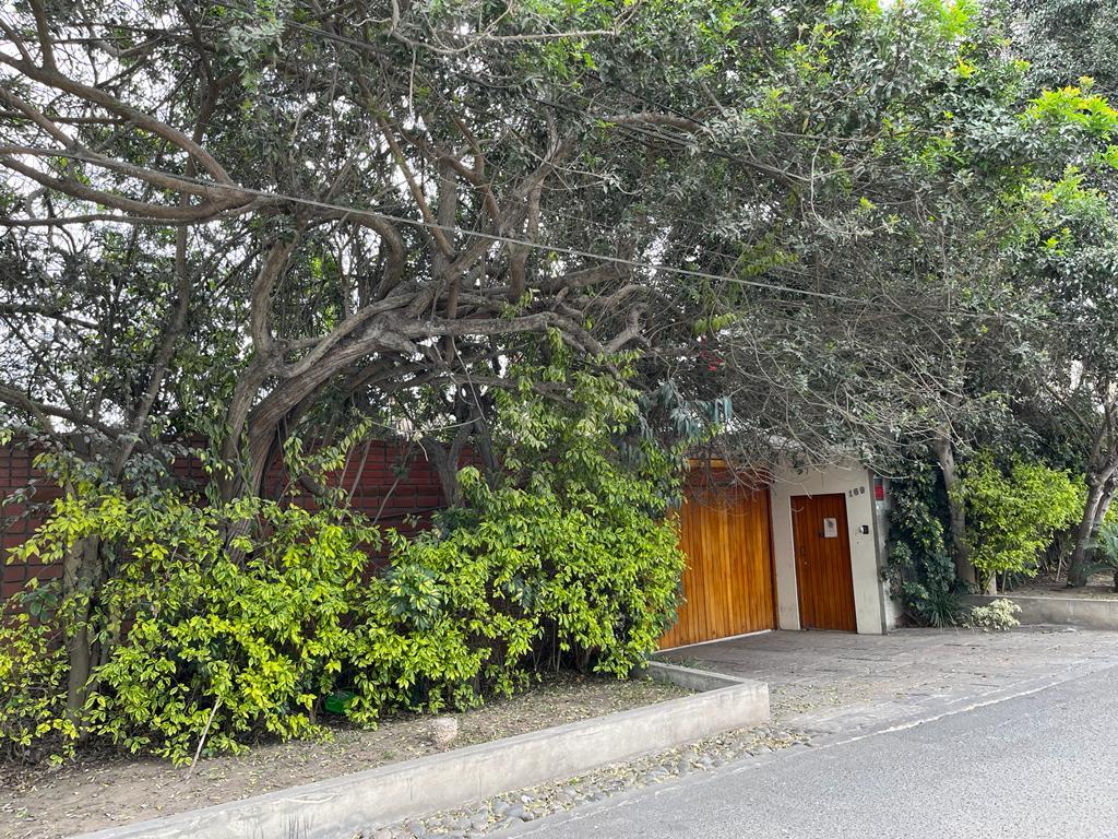 Imagen miniatura a450e052-cdd8-44d5-9d7b-f8e6a2984e1b