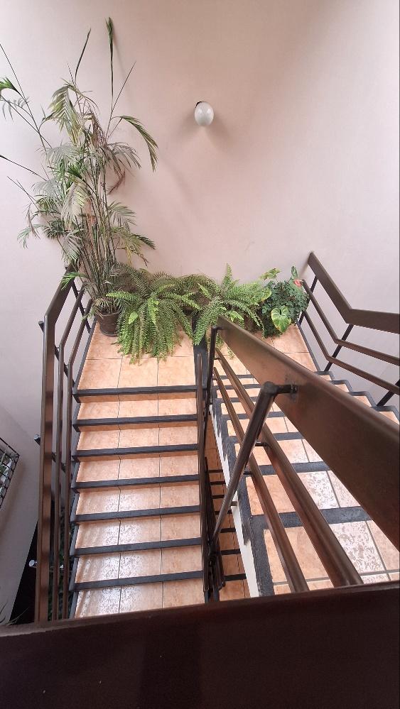 Imagen miniatura 0276d39d-7f6d-4a41-bfd9-0282ee70f2eb